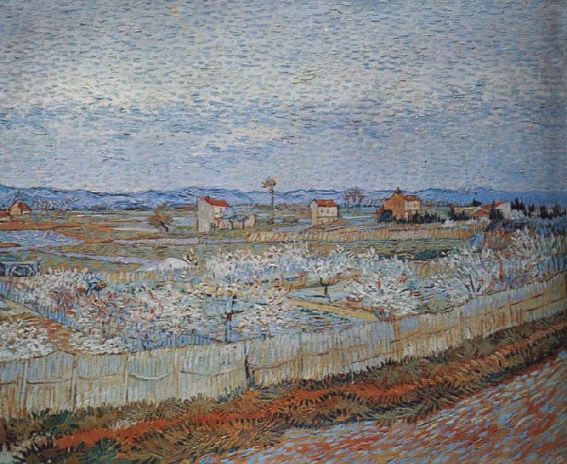 Peach trees in blossom, Vincent Van Gogh
